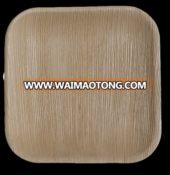 Areca Disposable Palm Plates